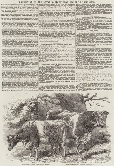 Exhibition of the Royal Agricultural Society of England by Harrison William Weir